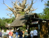disneyworld01/_dscn1591.jpg, 6.2K