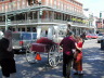 nola99/_dscn0782.jpg, 5.4K